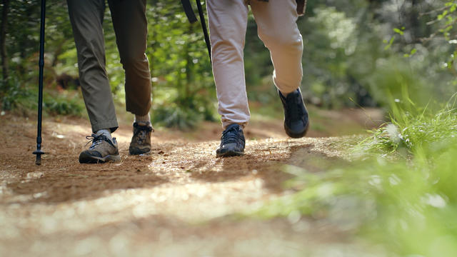 Walking, feet and people hiking in forest, nature or shoes on the ground with green, trees and plants in soil or environment. Legs, closeup and trekking journey in countryside, woods and dirt path 