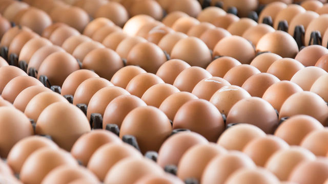 Eggs from chicken farm in the package 