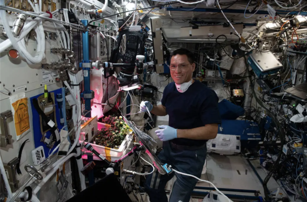 Astronaut Frank Rubio tending to tomato plants in the ISS 