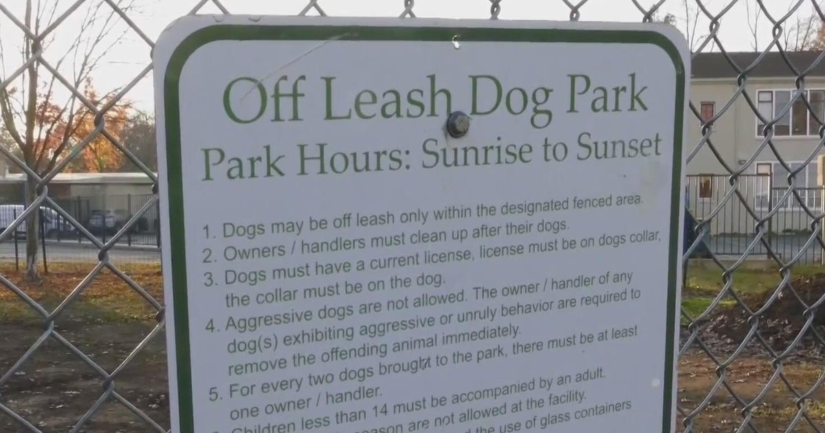 Dog park decision: Sacramento city council unanimously passes hotly contested plan to move Curtis Park dog park