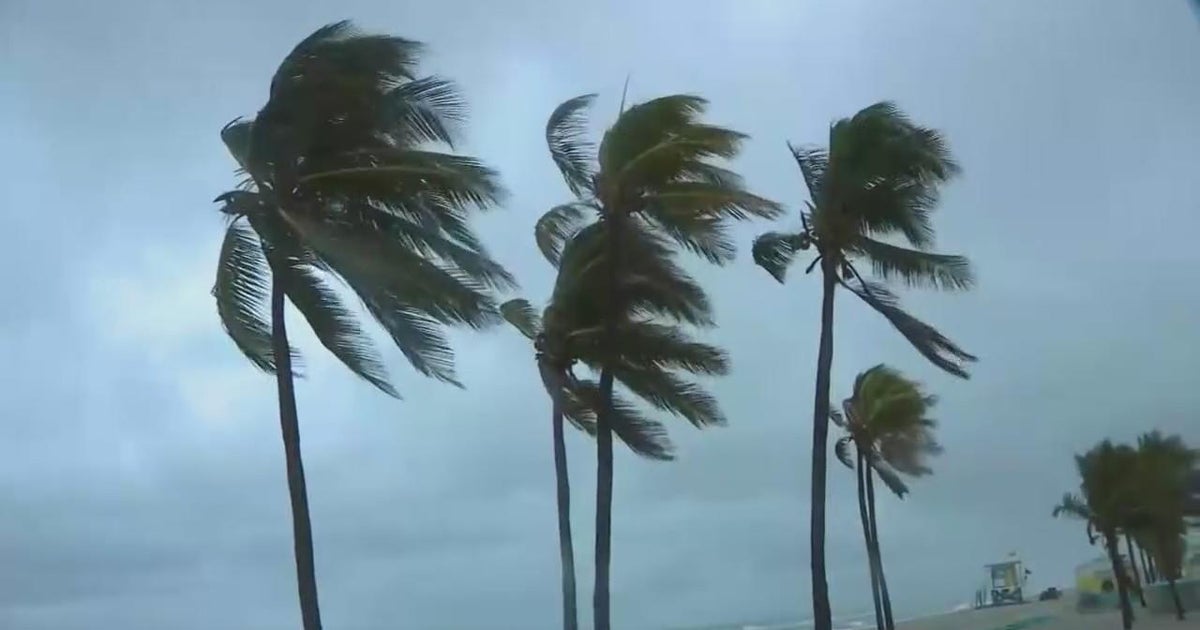 Blustery winds, gusty rain through Saturday, climate improves Sunday Blustery winds, gusty rain through Saturday, climate improves Sunday