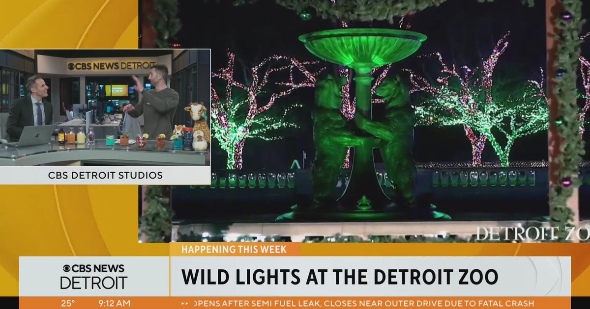detroit zoo lights