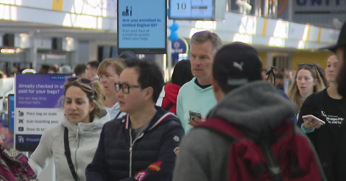 Plane left at standstill after luggage cart strikes engine at O'Hare