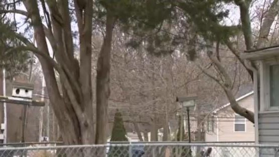 Police investigate shooting 