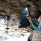 Human skeletons, remains of sharks, blood-sucking bats found in cave