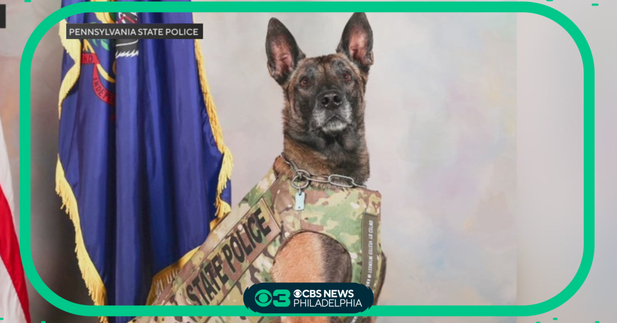 Pennsylvania State Police K9 Officers Receive Bulletproof Vests   YouTube