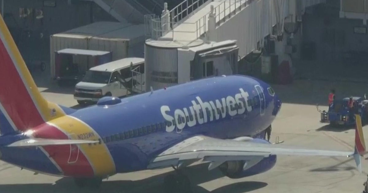 Southwest flight to Austin returned to Fort Lauderdale following chook strike Southwest flight to Austin returned to Fort Lauderdale following chook strike