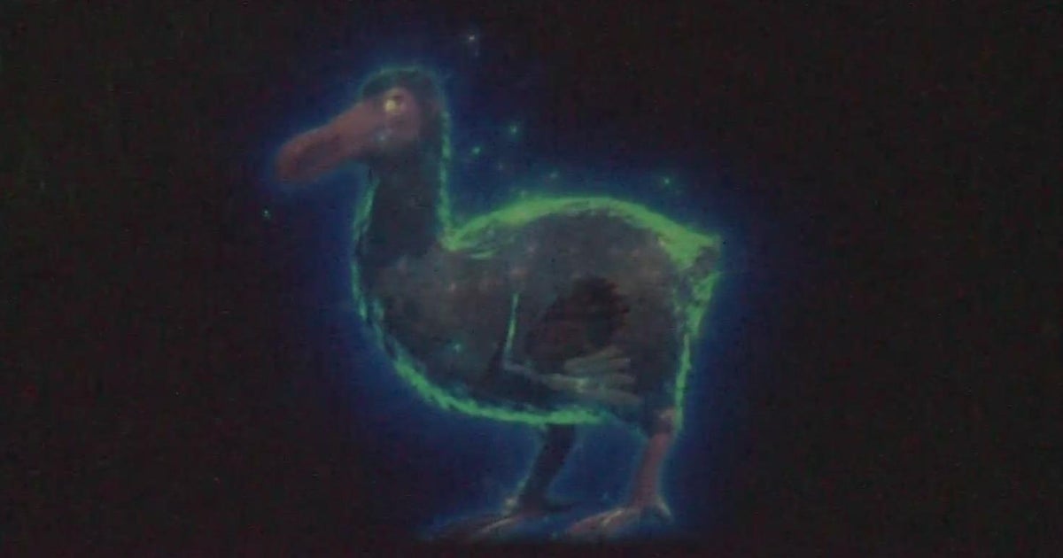 New Sacramento Zoo exhibit brings back extinct animals