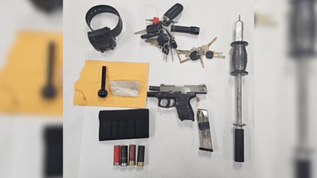amador-county-drug-gun-arrest.png 
