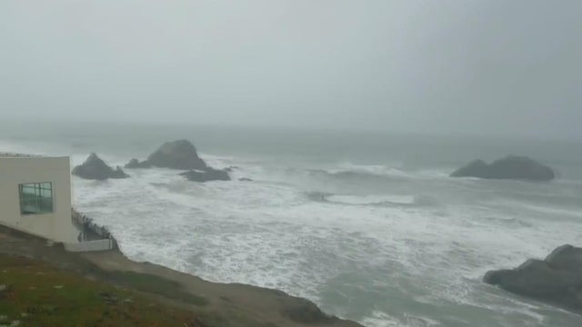 pacific coast