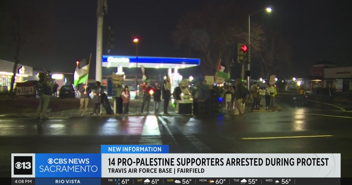 14 pro-Palestine supporters arrested during Fairfield protest