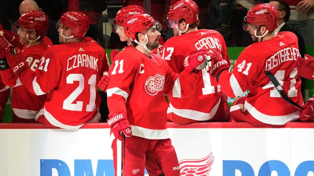 Predators Red Wings Hockey