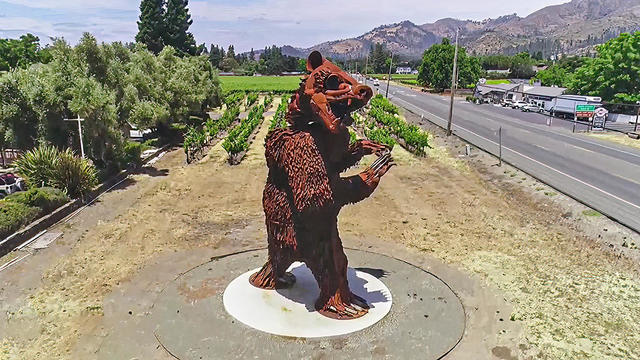 Bear Sculpture in Wine Country 