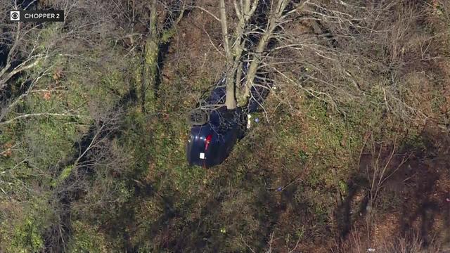 A BMW SUV is seen on its side crashed into a tree in a wooded area. 