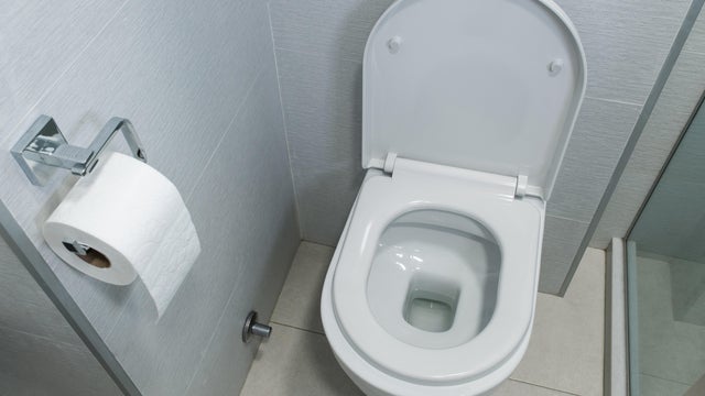 toilet