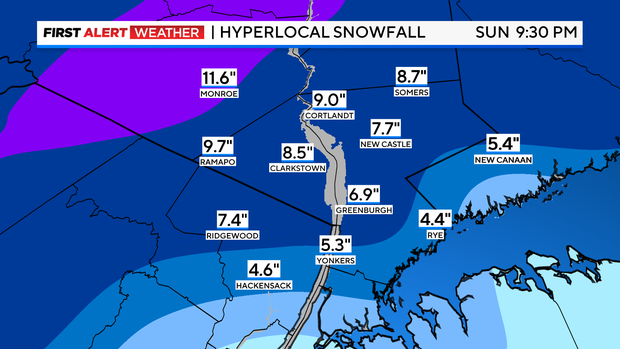 fa-futurecast-snowfall-hyperlocal-graf-template.png