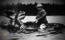 Did Teddy Roosevelt ride a moose? "Sunday Morning" mailbag 