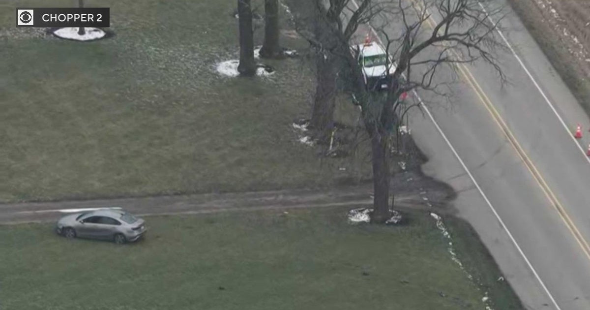 Person hurt after being hit by car in Chicago's northwest suburbs - CBS ...