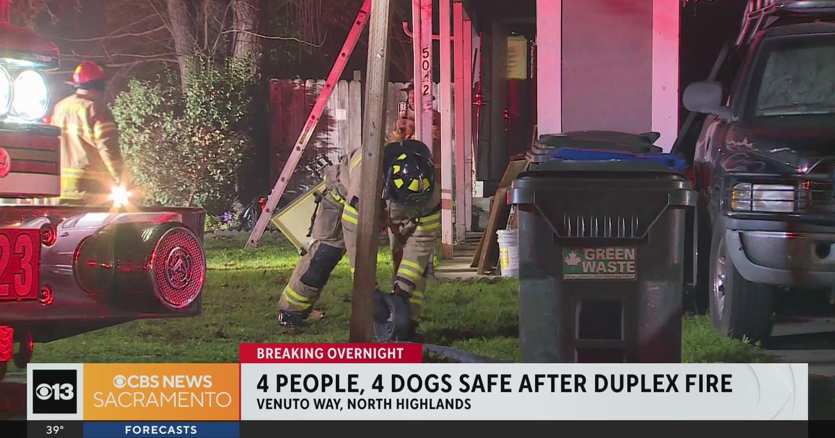 4 people, 4 dogs safe after duplex fire