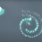 Humpback whales create mesmerising spiral to capture prey