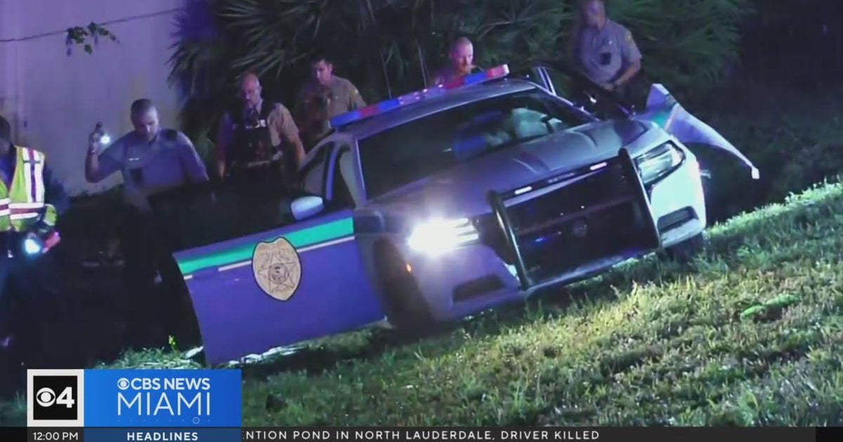 Miami-Dade officer misplaced command, strike tree off I-95 Friday morning