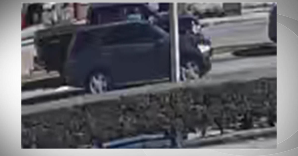 Miami police question for assistance in finding SUV that was concerned in a hit and run crash