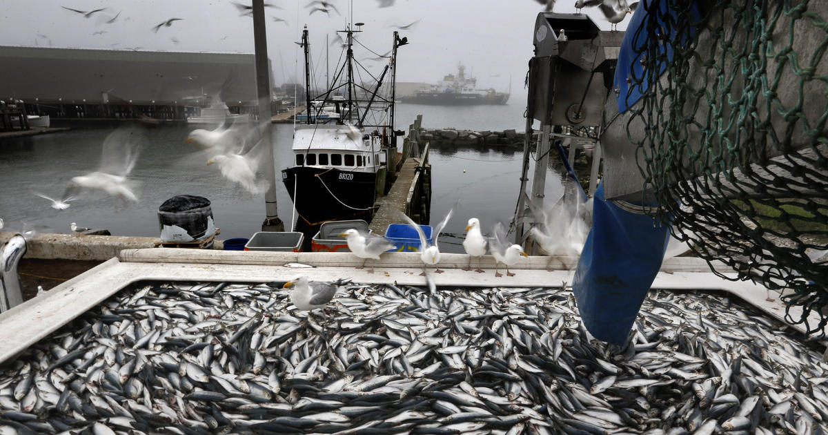 Върховният съд може да разтърси властта на федералните агенции с двойни битки за правилата за риболов