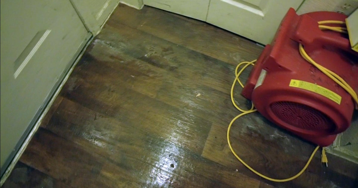 Sprinklers go off despite no fire in Denver apartment, resulting flood ...