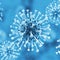 World leaders gather to discuss hypothetical Disease X pandemic