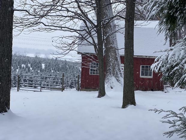 cochranville-pa-snowy-day-at-the-farm-by-pamela-wood.jpg 