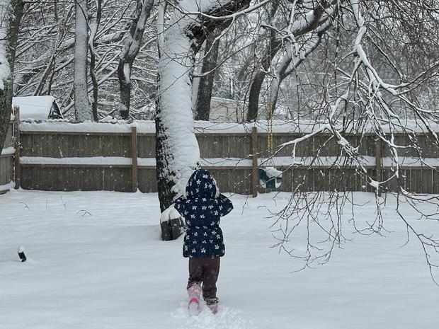 brandi-who-was-scared-of-the-snow-playing-in-south-jersey-picture-by-brittany-baum.jpg 