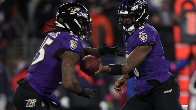 AFC Divisional Playoffs - Houston Texans v Baltimore Ravens 