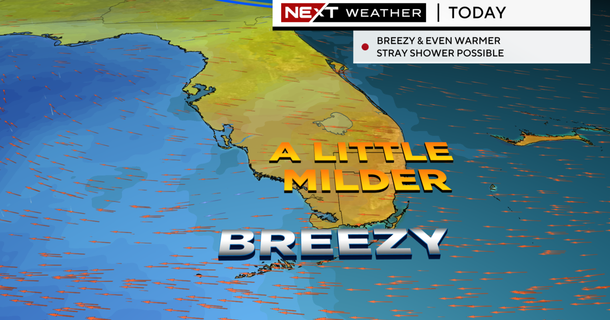 Breezy South Florida with afternoon highs near 80 degrees