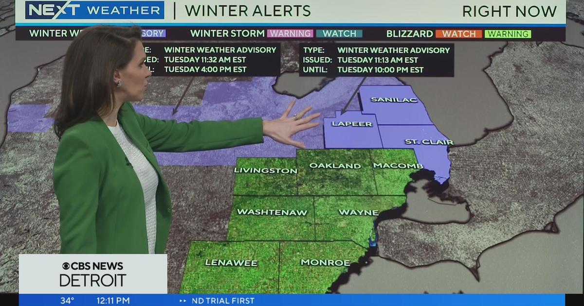 NEXT Weather Forecast January 23, 2024 (Today) CBS Detroit