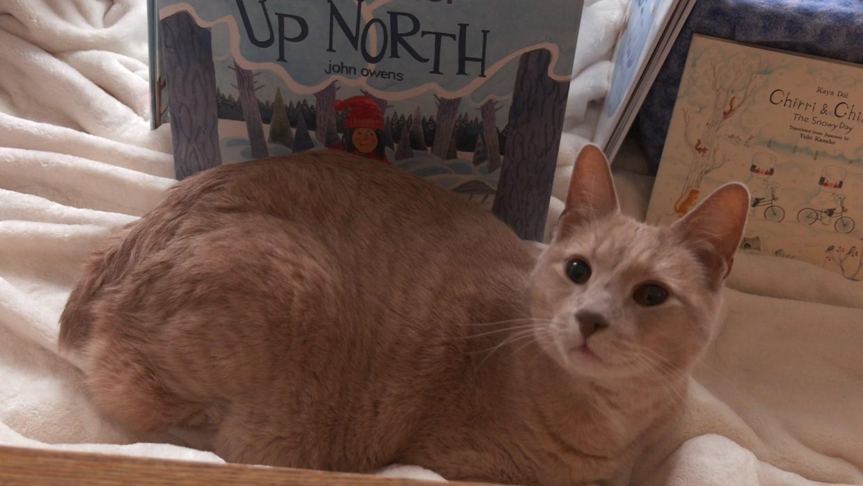 Wild Rumpus bookstore under new ownership - CBS Minnesota
