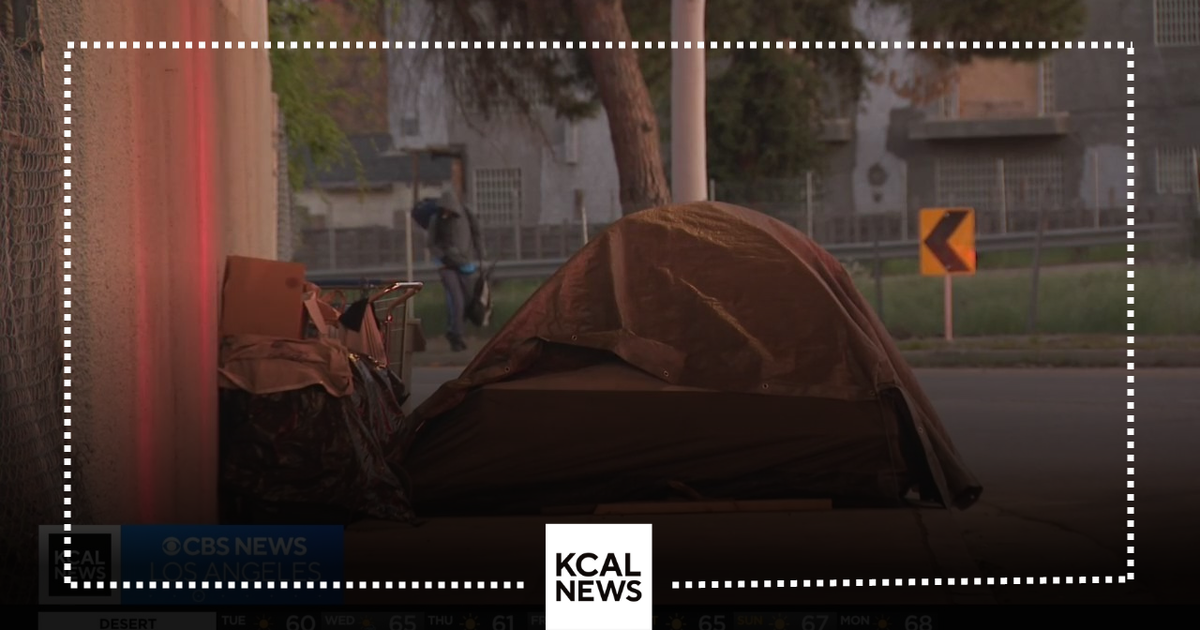 Volunteers fan out across LA for the 2024 homeless count - CBS Los Angeles