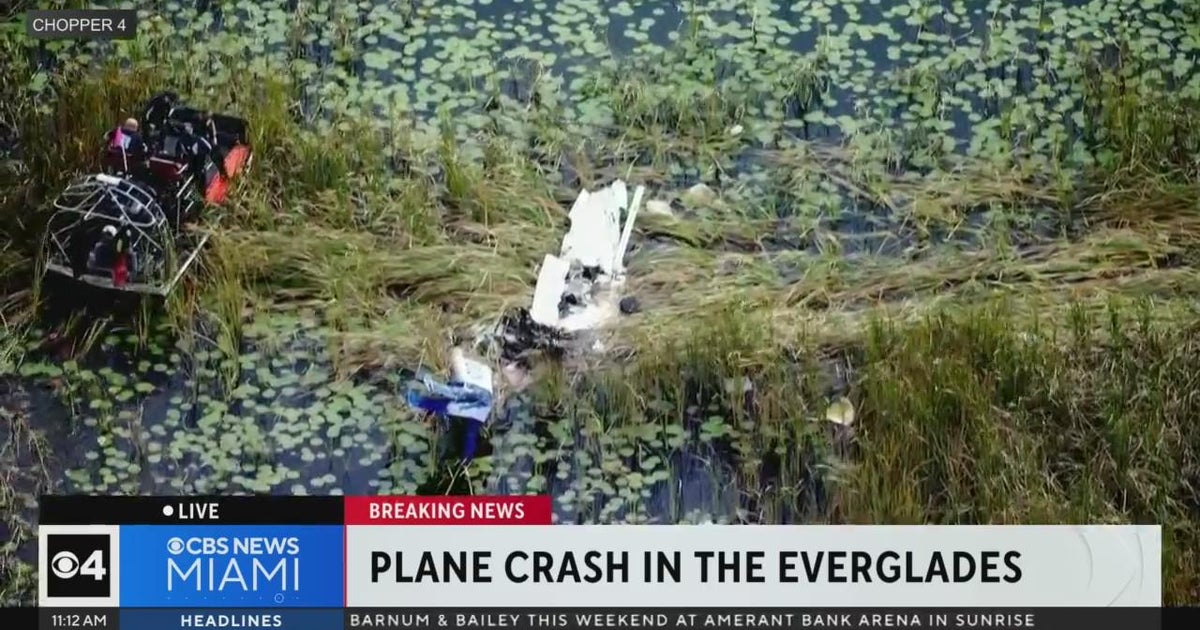 Tiny airplane crashed in Everglades in the vicinity of Alligator Alley