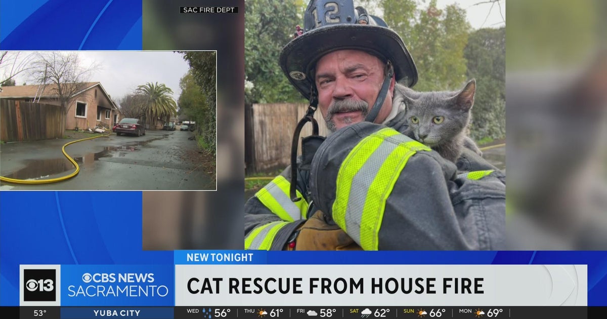 Cat named Smokey rescued from Sacramento house fire