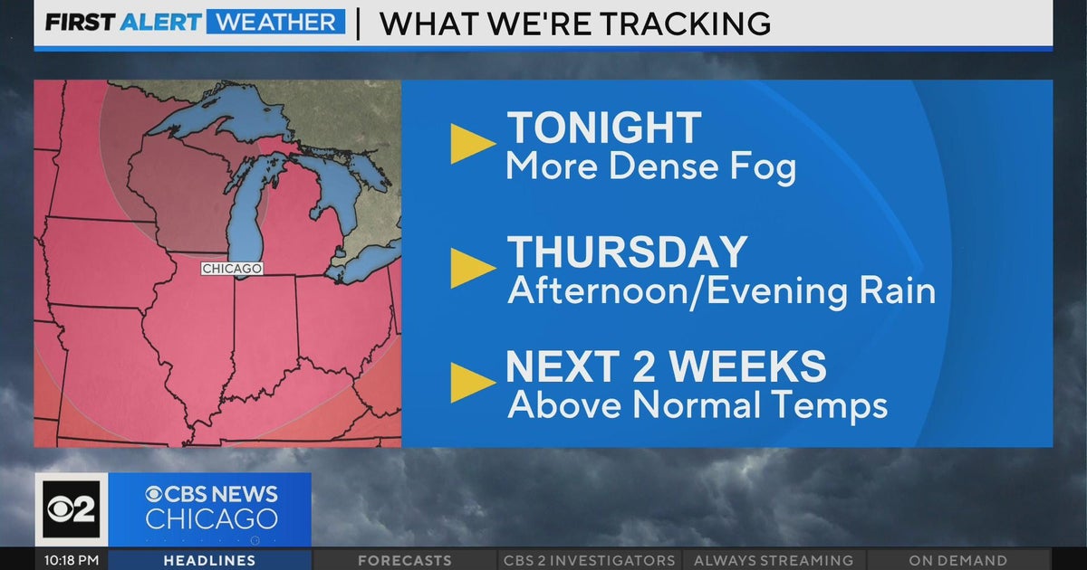 More dense fog overnight, rain coming Thursday - CBS Chicago