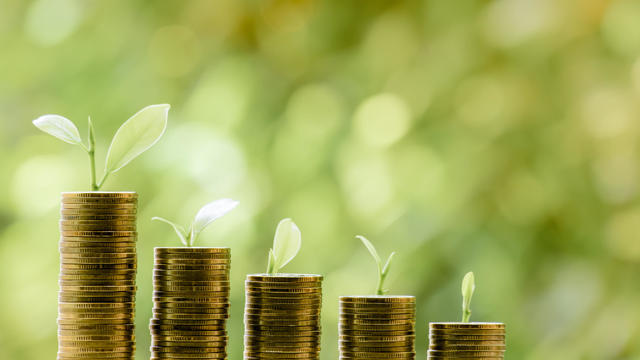 Business Finance and Money concept,Save money for prepare in the futuretree growing on coin of stacking gold coins with green bokeh background 