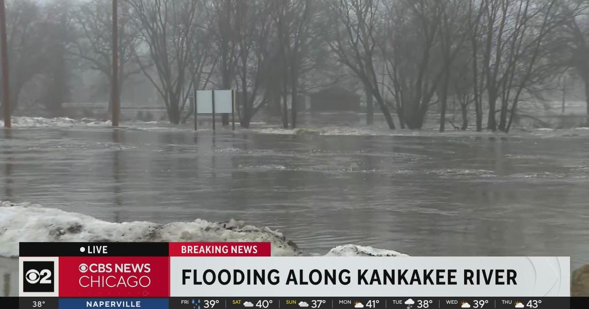 Flash flooding in Wilmington, Illinois, evacuations underway