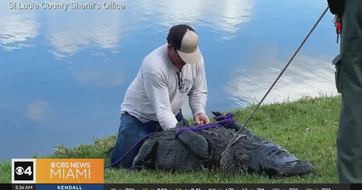 Family members of lady killed by an alligator at a Fort Pierce retirement community data files lawsuit