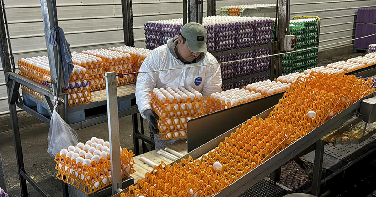 The bird flu vaccine is made with eggs. That has scientists worried ...