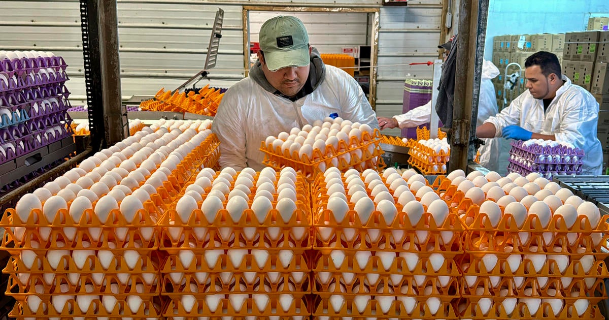 Avian flu is devastating farms in California’s “Egg Basket” as outbreaks roil poultry industry