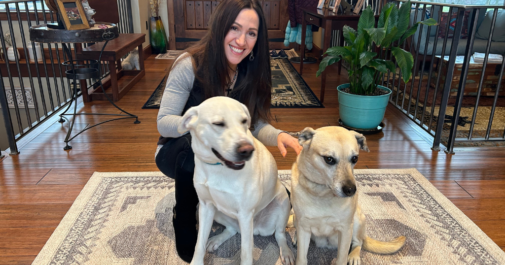 KD Sunday Spotlight: Puppy Pads in Wexford give dogs the warmth and love they need