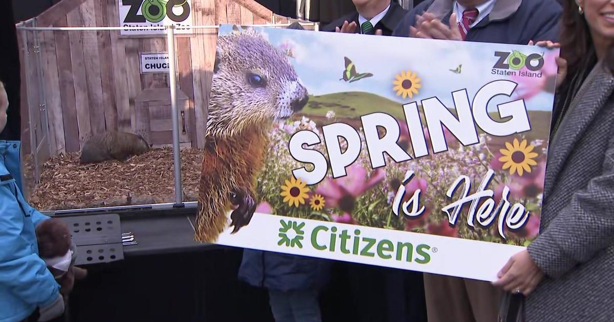 Staten Island Chuck doesn't see his shadow, predicts early spring on