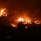 At least 19 dead in Chile forest fires