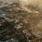 Dozens killed in Chile wildfires