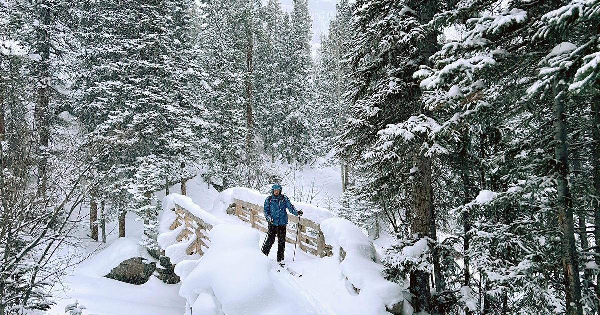 Ski with a ranger through parts of Rocky Mountain National Park in ...