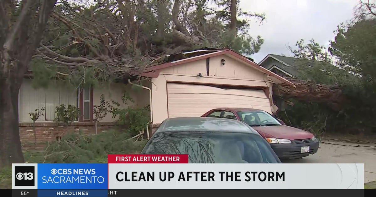 Tree crashes through Yuba City home, misses 5-year-old girl